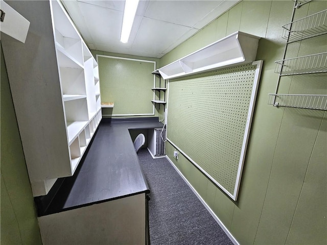 261 Lacock St, Canton Twp, PA 15301 - walk in closet featuring carpet flooring