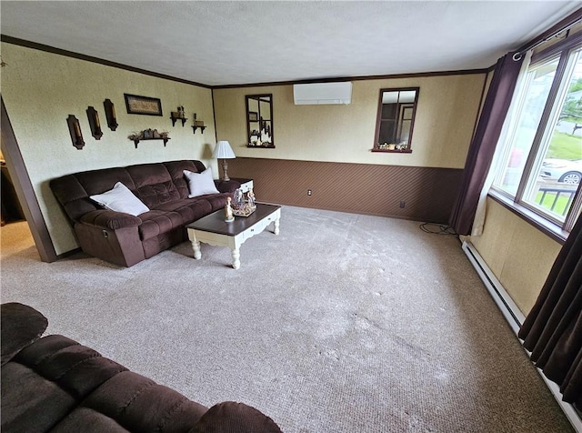 261 Lacock St, Canton Twp, PA 15301 - living room with an AC wall unit, a baseboard radiator, ornamental molding, and carpet flooring