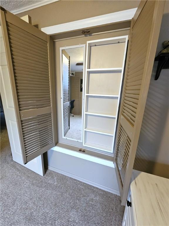 261 Lacock St, Canton Twp, PA 15301 - view of closet