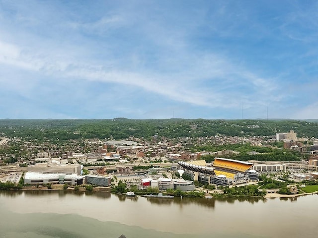 1 Trimont Ln Unit 2115A, Mt Washington, PA 15211 - bird's eye view of a large body of water