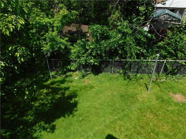 2300 Fairland St, Overbrook, PA 15210 - view of yard
