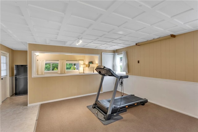 427 Harpers Ferry Rd, North Sewickley Twp, PA 15010 - exercise area with healthy amount of natural light, baseboards, and wooden walls