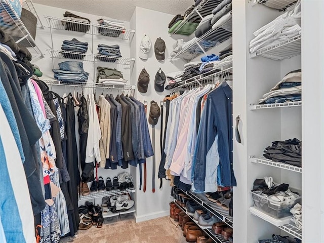 4046 Overview Dr, Cecil, PA 15317 - view of spacious closet