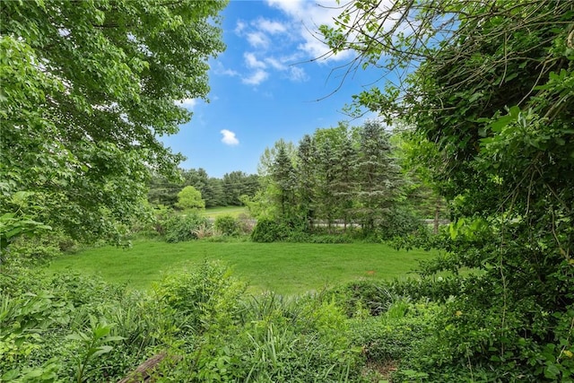 1369 Old Pulaski Rd, Neshannock Twp, PA 16105 - view of local wilderness