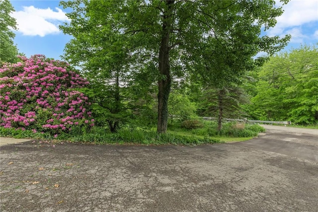 1369 Old Pulaski Rd, Neshannock Twp, PA 16105 - view of asphalt road featuring a forest view