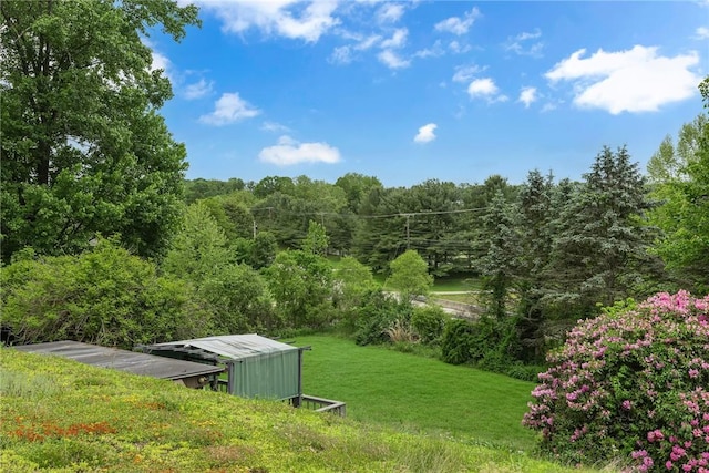 1369 Old Pulaski Rd, Neshannock Twp, PA 16105 - view of grassy yard with a forest view