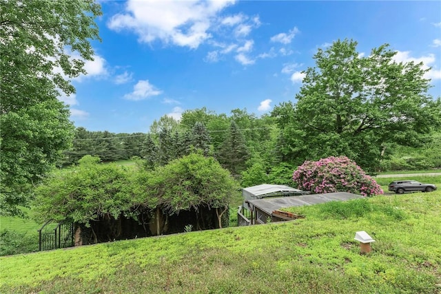 1369 Old Pulaski Rd, Neshannock Twp, PA 16105 - view of yard