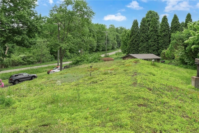 1369 Old Pulaski Rd, Neshannock Twp, PA 16105 - view of yard featuring a view of trees