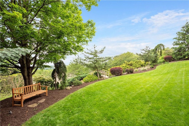 409 Foxwood Ln, Scott Twp Sal, PA 15220 - view of green lawn