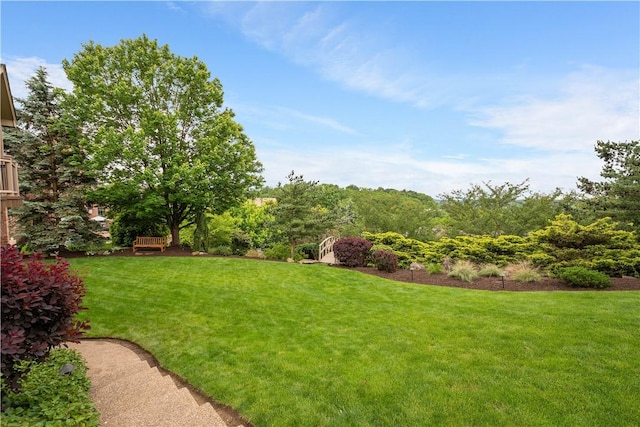 409 Foxwood Ln, Scott Twp Sal, PA 15220 - view of green lawn