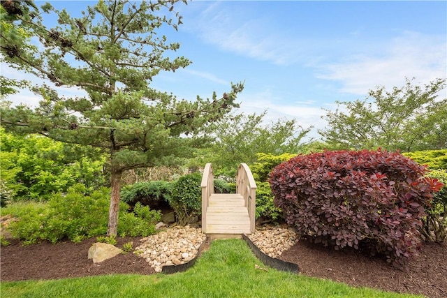 409 Foxwood Ln, Scott Twp Sal, PA 15220 - view of yard