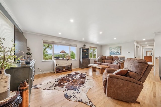 124 Hilton Rd, Unity Twp, PA 15601 - living area featuring ornamental molding, light wood finished floors, recessed lighting, and baseboards
