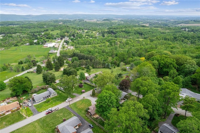 124 Hilton Rd, Unity Twp, PA 15601 - aerial view of property's location with a forest