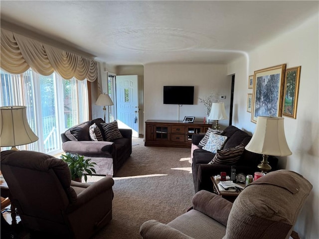 2122 Elizabeth Ct, Export, PA 15632 - view of carpeted living room