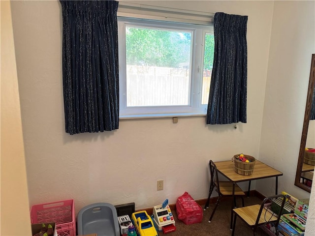 2122 Elizabeth Ct, Export, PA 15632 - game room with carpet floors