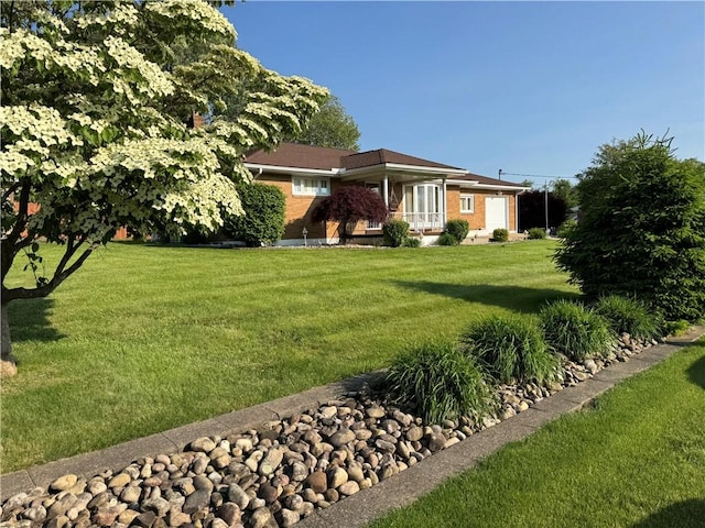 2122 Elizabeth Ct, Export, PA 15632 - view of grassy yard