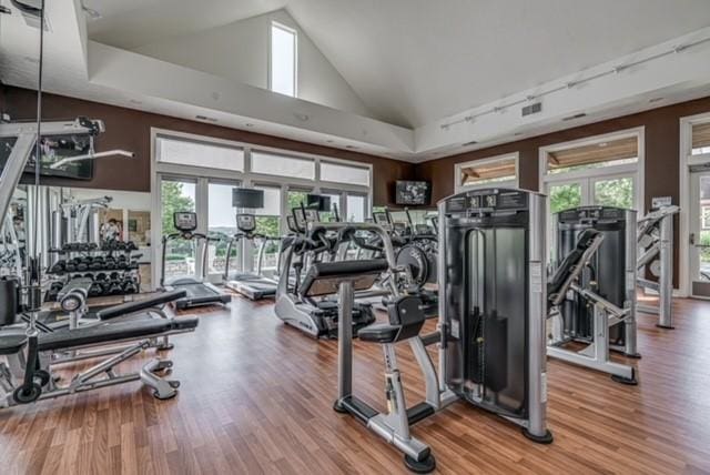 1575 Parkview Blvd, Squirrel Hill, PA 15217 - exercise room featuring wood finished floors, vaulted ceiling, and rail lighting