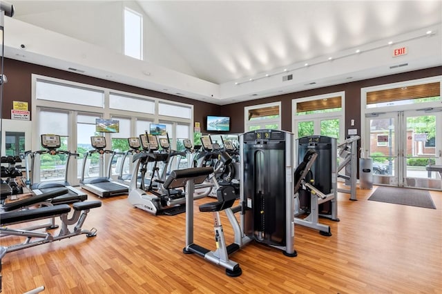 1575 Parkview Blvd, Squirrel Hill, PA 15217 - workout area featuring french doors, light wood-style floors, and high vaulted ceiling