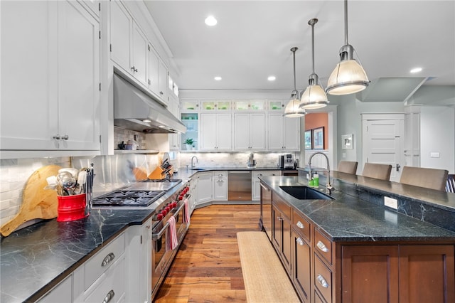 1575 Parkview Blvd, Squirrel Hill, PA 15217 - kitchen with a sink, under cabinet range hood, recessed lighting, light wood finished floors, and cooktop