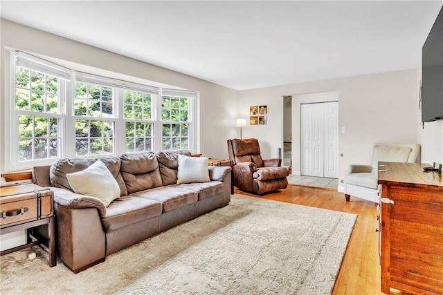 669 Carnival Dr, Plum Boro, PA 15239 - living area featuring light wood-style floors