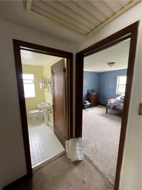 1001 Wible Run Rd, Shaler, PA 15209 - hallway featuring carpet flooring, plenty of natural light, and tile patterned flooring