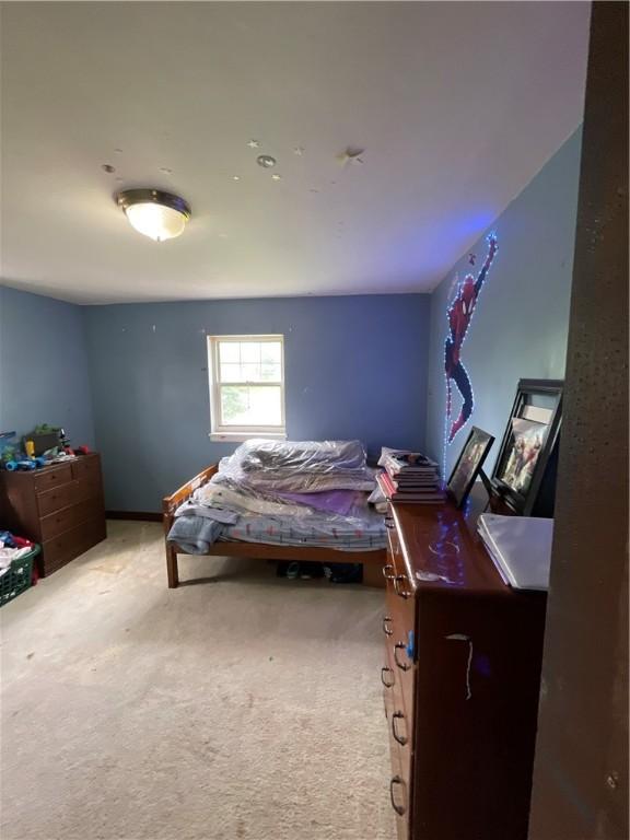 1001 Wible Run Rd, Shaler, PA 15209 - bedroom featuring carpet flooring