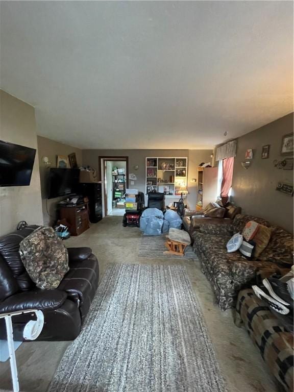1001 Wible Run Rd, Shaler, PA 15209 - living area with carpet flooring