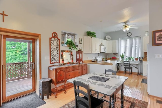 226-228 S Washington St Unit 226, City Of But Se, PA 16001 - dining space featuring healthy amount of natural light, ceiling fan, and light wood-style floors