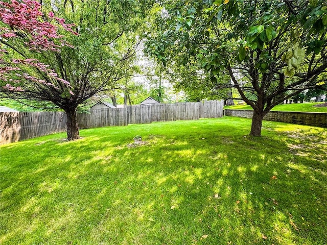 117 Harphen St, Versailles Boro, PA 15132 - view of yard