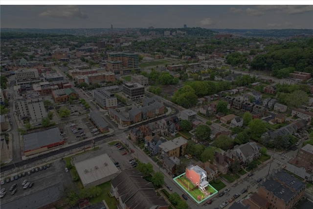 5822 Rippey St, East Liberty, PA 15206 - view of urban area