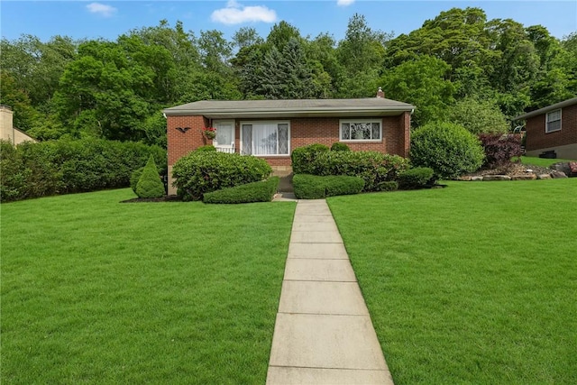 332 Division Ln, Vanport, PA 15009 - view of front of home featuring brick siding and a front yard