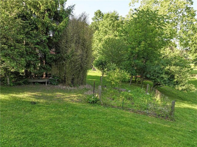 31 Nicholson St, Crafton, PA 15205 - view of grassy yard with a wooden deck