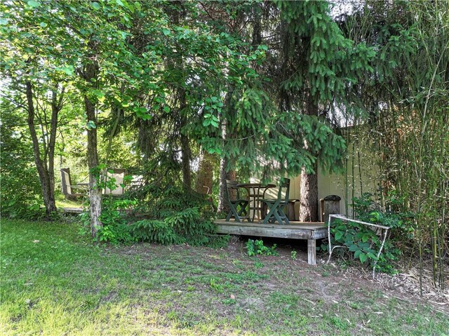 31 Nicholson St, Crafton, PA 15205 - view of yard