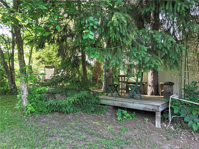 31 Nicholson St, Crafton, PA 15205 - view of yard