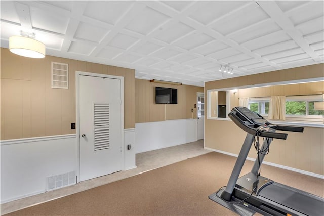 427 Harpers Ferry Rd, North Sewickley Twp, PA 15010 - exercise room with carpet flooring and wooden walls
