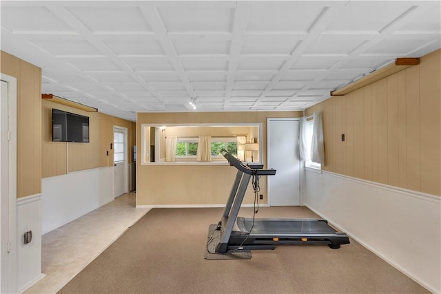 427 Harpers Ferry Rd, North Sewickley Twp, PA 15010 - workout room with carpet floors and wooden walls