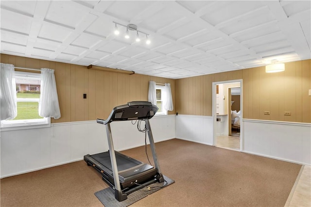 427 Harpers Ferry Rd, North Sewickley Twp, PA 15010 - exercise area featuring track lighting, carpet floors, and wood walls