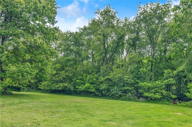 427 Harpers Ferry Rd, North Sewickley Twp, PA 15010 - view of green lawn with a view of trees