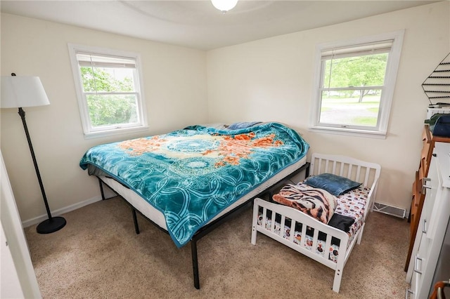 343 Whitestown Rd, Twp Of But Nw, PA 16001 - carpeted bedroom with multiple windows and baseboards