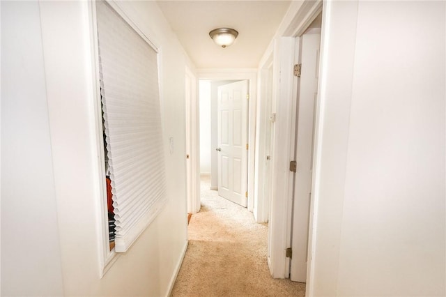 343 Whitestown Rd, Twp Of But Nw, PA 16001 - corridor featuring light carpet and baseboards