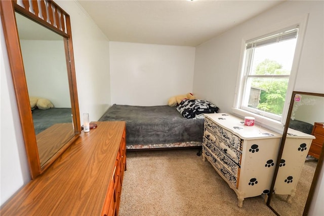 343 Whitestown Rd, Twp Of But Nw, PA 16001 - view of carpeted bedroom