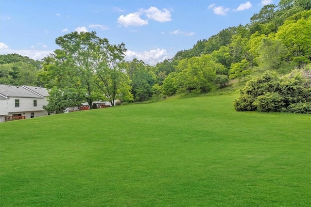 309 Wildflower Ct, Ross Twp, PA 15202 - view of grassy yard