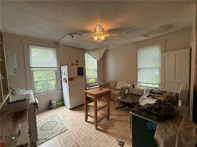 222 E End Ave, Point Breeze, PA 15221 - photo 15