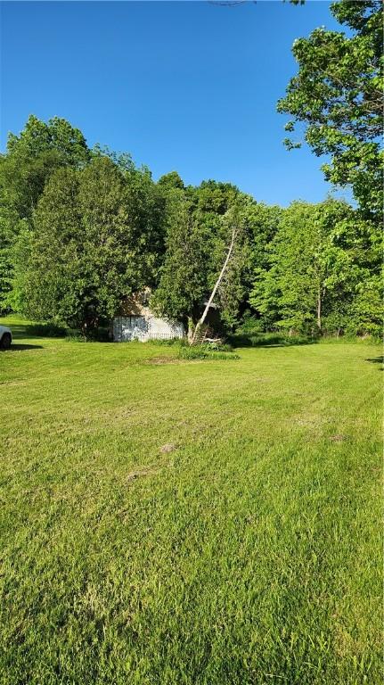 1737 Perry Hwy, Volant, PA 16156 - view of green lawn