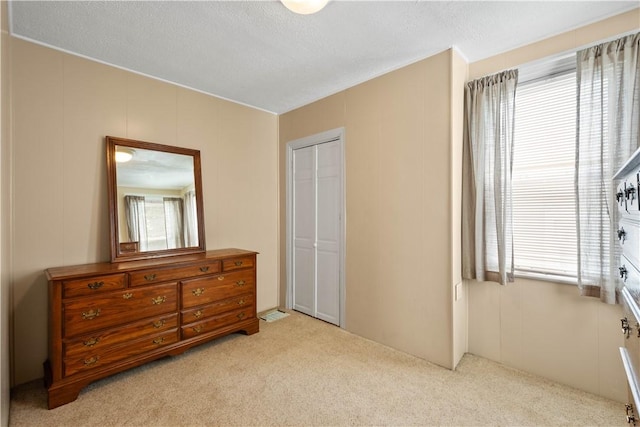 1313 Virginia Ave, Mt Washington, PA 15211 - bedroom with light colored carpet, a closet, and a textured ceiling