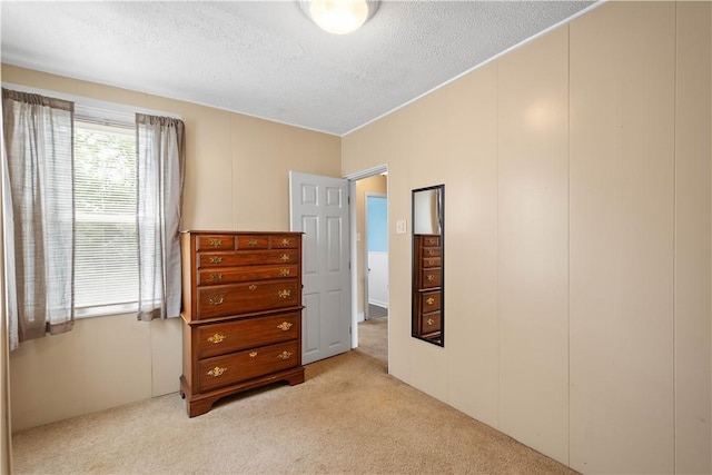 1313 Virginia Ave, Mt Washington, PA 15211 - bedroom with light colored carpet and a textured ceiling