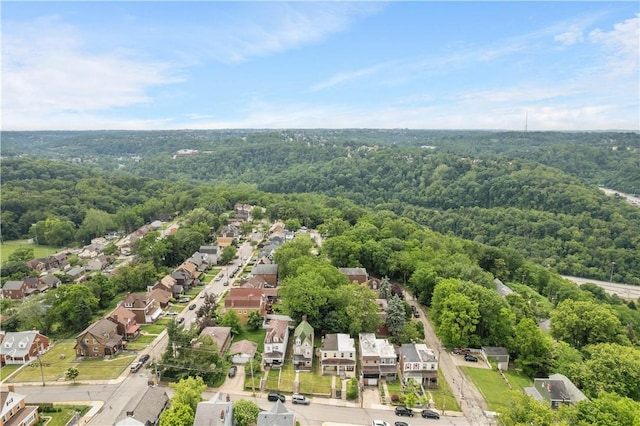 1313 Virginia Ave, Mt Washington, PA 15211 - aerial view of residential area featuring a forest