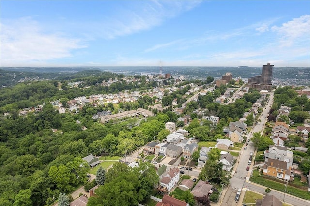 1313 Virginia Ave, Mt Washington, PA 15211 - aerial view