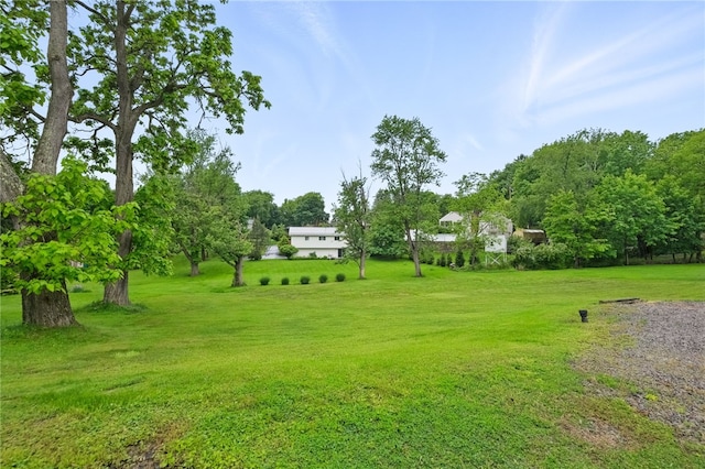2600 Locust Ln, Hampton, PA 15101 - view of grassy yard