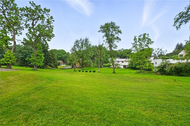 2600 Locust Ln, Hampton, PA 15101 - view of grassy yard featuring view of wooded area
